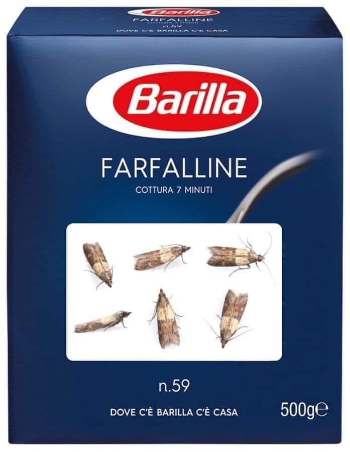 barillainsetti.jpg